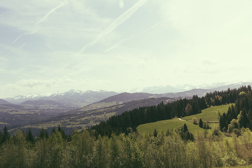 Panoramic Mountain Landscape with Forest and Snowy Peaks