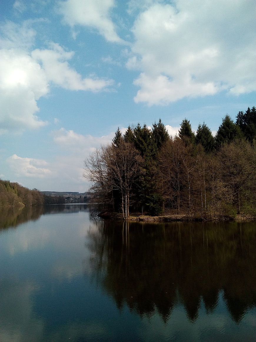 Serene Lake with Forest Reflection and Blue Sky