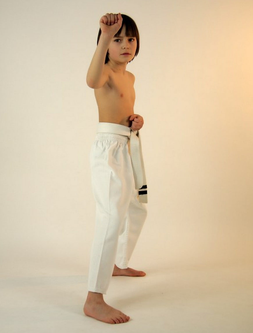Young boy in karate gi striking a martial arts pose