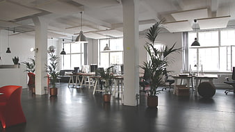 Modern Open Plan Office Interior with Plants and Desks