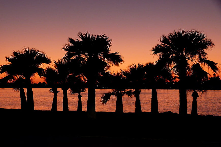 Silhouette of Palm Trees Against Orange Sunset Sky