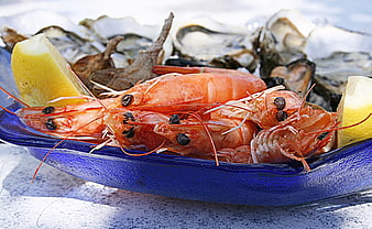 Fresh Red Prawns and Oysters on Blue Plate with Lemon