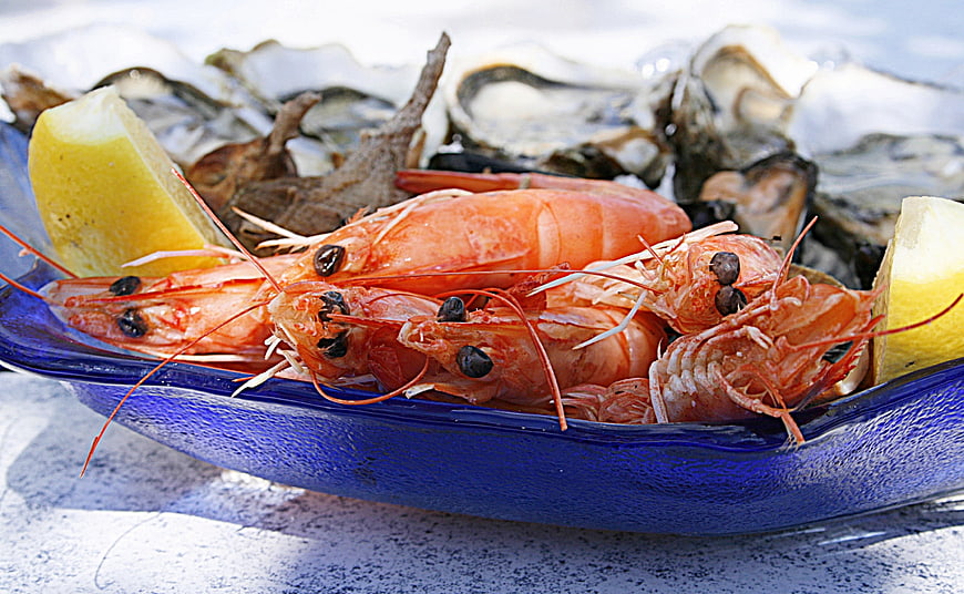 Fresh Red Prawns and Oysters on Blue Plate with Lemon