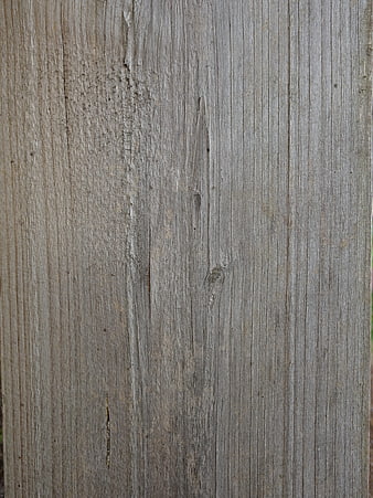 Weathered gray wood plank texture background