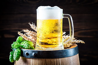 Cold Draft Beer Mug on Wooden Barrel with Hops and Wheat