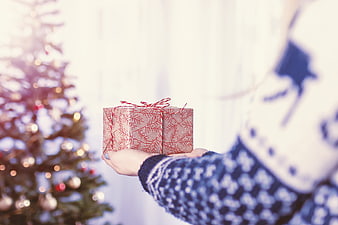 Woman holding wrapped Christmas gift near decorated tree