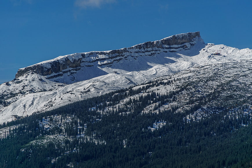 Snow-Capped Mountain Peak with Pine Forest and Blue Sky