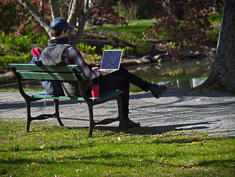 Man working on laptop on park bench outdoors