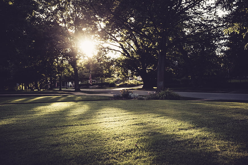 Sunlight streaming through trees onto a suburban lawn