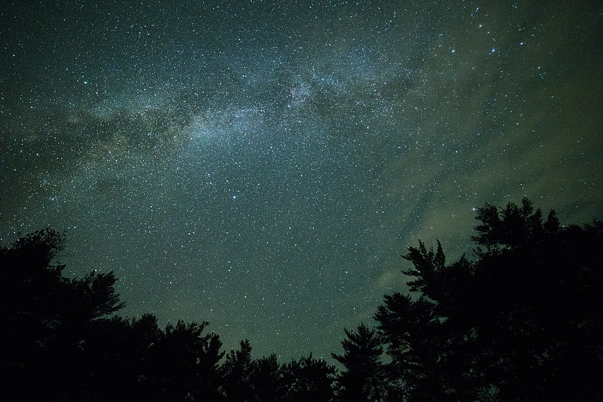 Milky Way Galaxy Over Silhouetted Pine Trees at Night