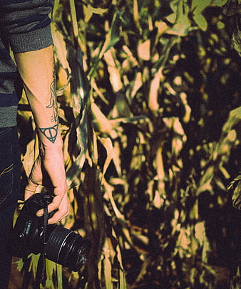 Man with tattoo holding camera in cornfield