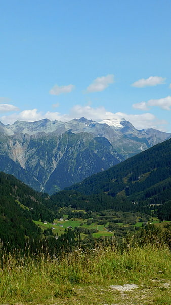 Scenic Alpine Valley with Snow-Capped Mountains and Green Forests