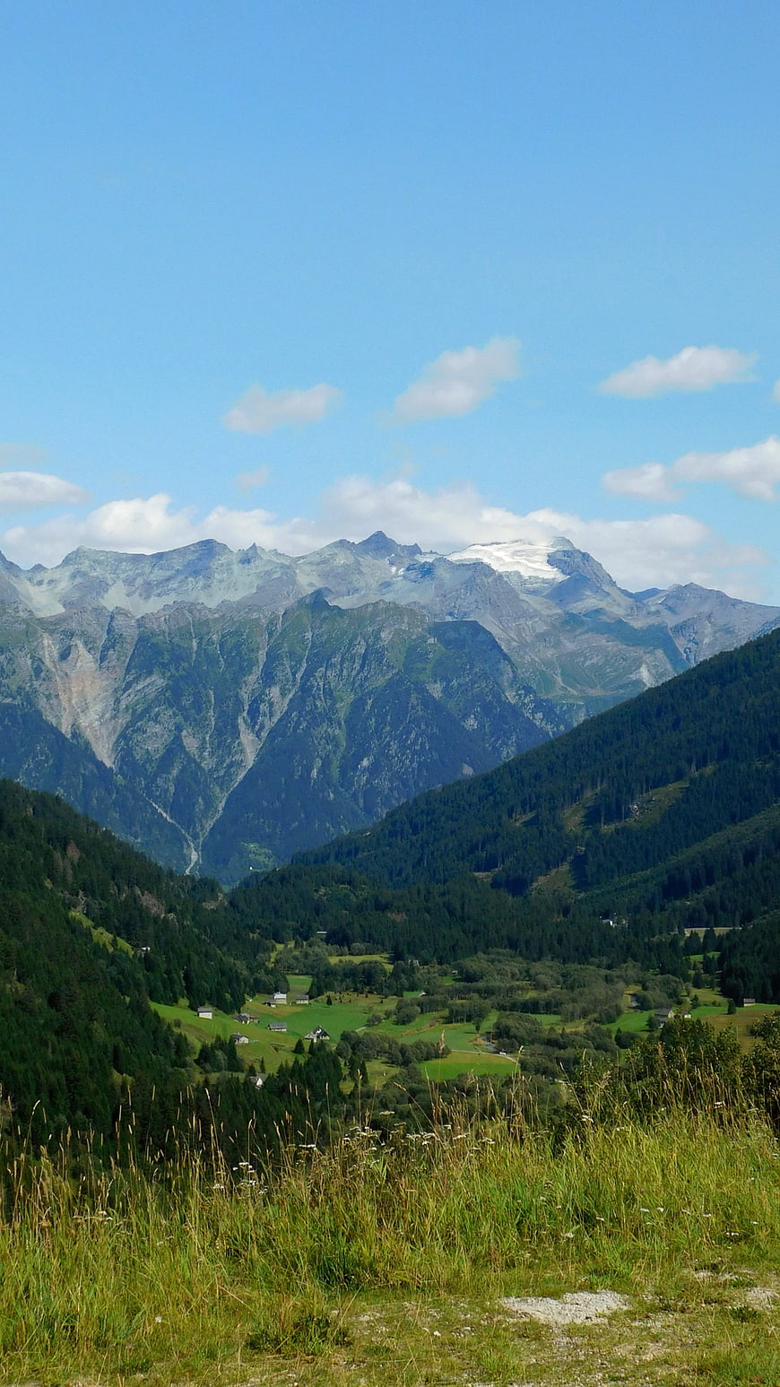 Scenic Alpine Valley with Snow-Capped Mountains and Green Forests