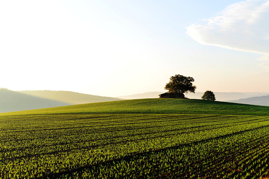 Lush Green Agricultural Field With Distant Hills And Small Farmhouse
