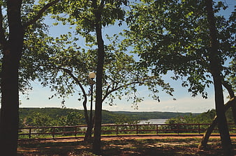 Scenic park view through trees with river and hills