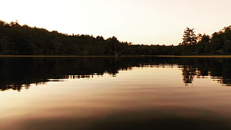 Serene Lake Reflection at Dusk with Forest Silhouette