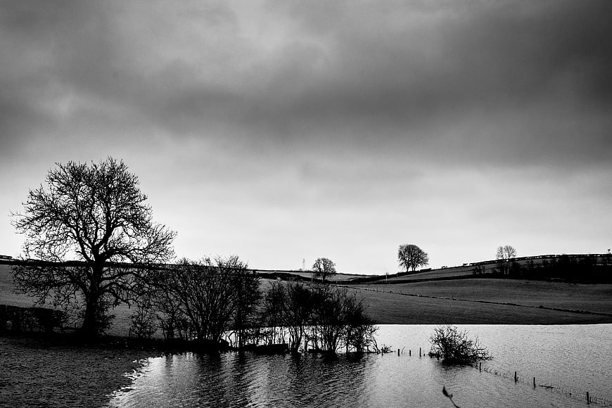 Moody Black and White Landscape with Flooded Fields and Silhouetted Trees
