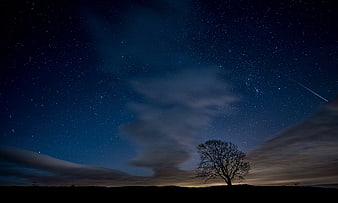 Silhouette of a lone tree under a starry night sky with clouds