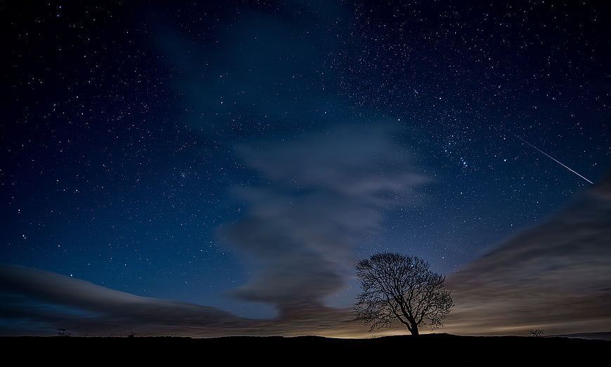 Silhouette of a lone tree under a starry night sky with clouds