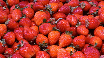 Close-up of fresh ripe red strawberries filling the frame
