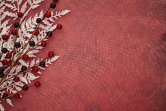 Frosted Winter Branches with Red Berries on Red Textured Background