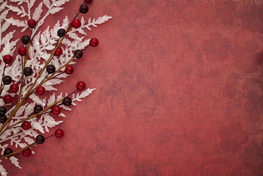 Frosted Winter Branches with Red Berries on Red Textured Background
