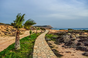 Stone path leading to sea with palm trees in Cyprus