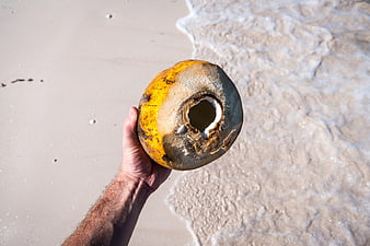 Hand holding fresh young coconut on tropical beach