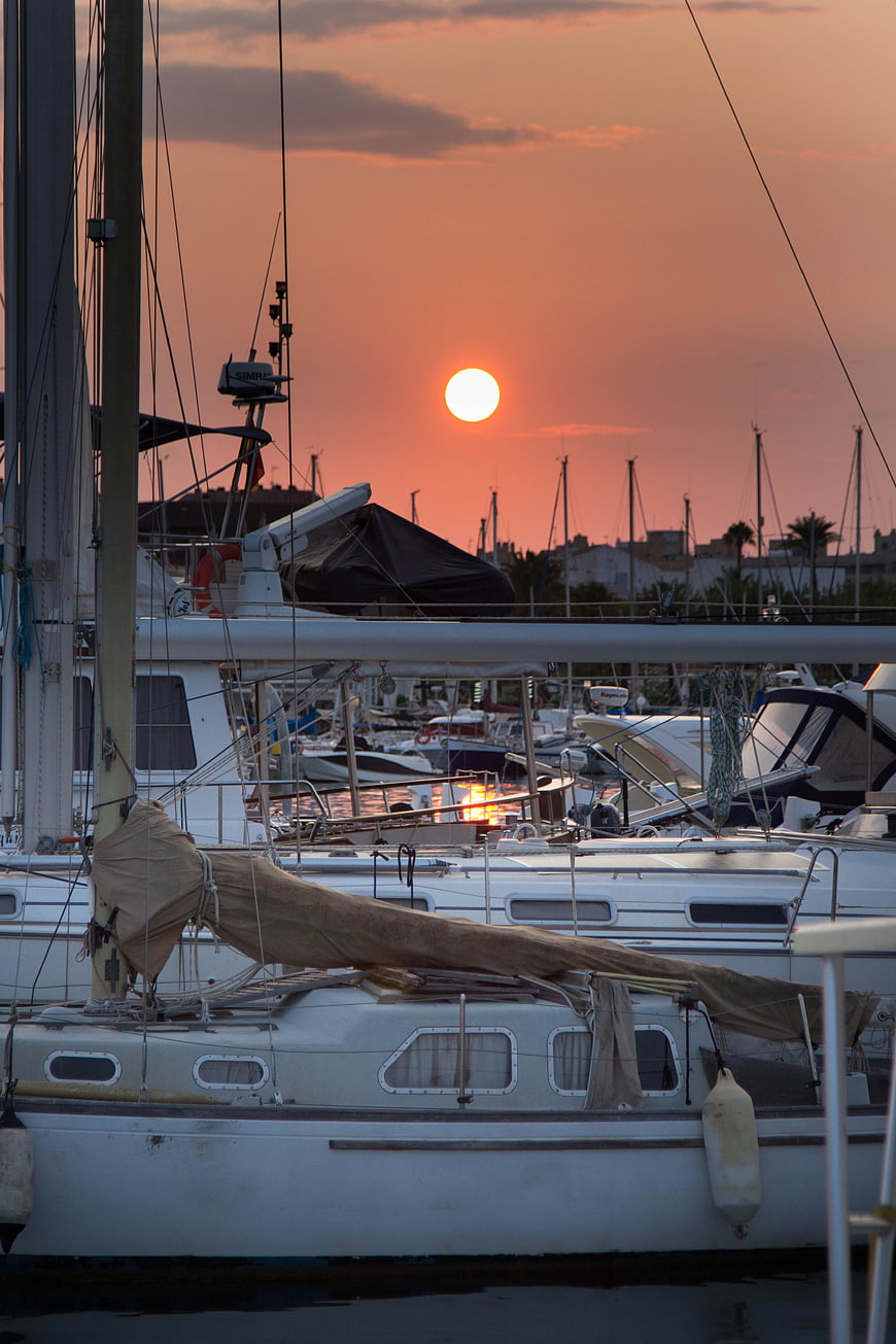 Sailboats docked in marina at vibrant orange sunset