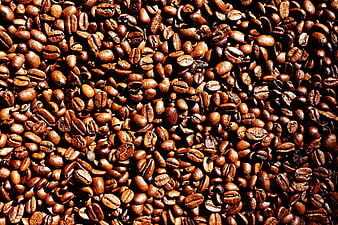 Close-up texture of roasted coffee beans background