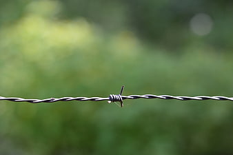 Close-up of barbed wire against blurred green background