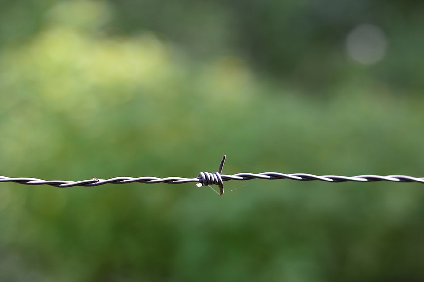 Close-up of barbed wire against blurred green background