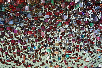 Colorful Love Locks on Metal Fence Grid
