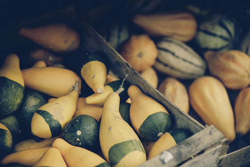 Fresh yellow and green squash in rustic wooden crates