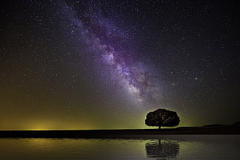 Milky Way Galaxy Over Silhouette Tree And Water Reflection