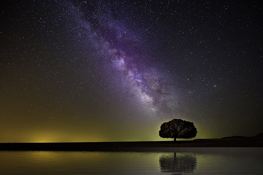 Milky Way Galaxy Over Silhouette Tree And Water Reflection