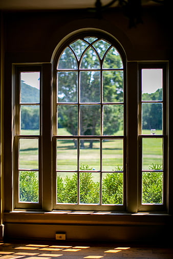 Sunlit Arched Window with Garden View