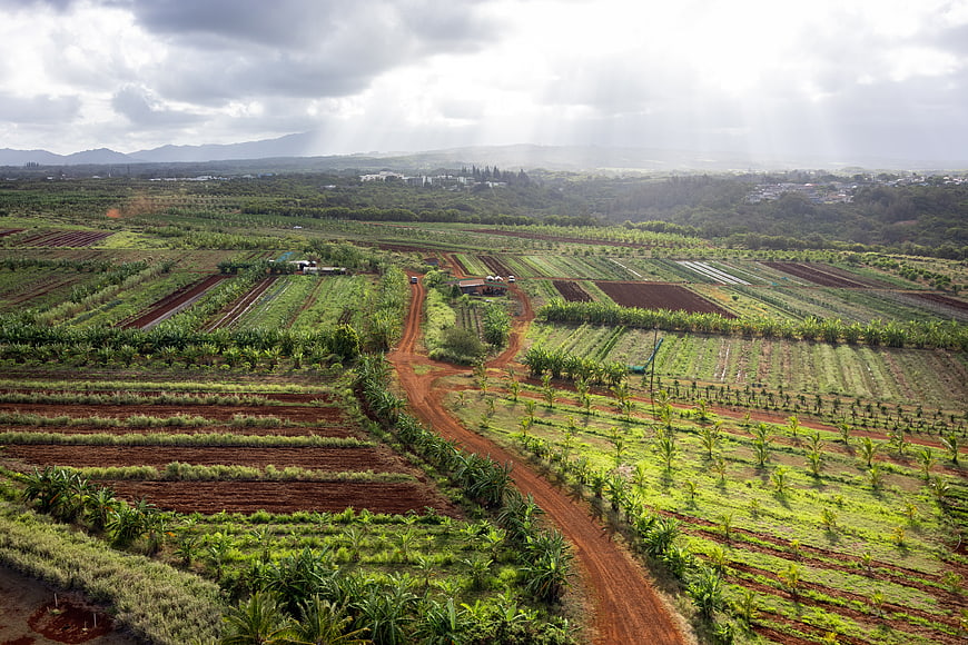 Aerial View of Agricultural Farm with Red Dirt Road