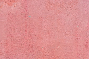 Textured Pink Plaster Wall Surface Background