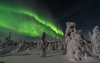 Vibrant Green Aurora Borealis Over Snow-Covered Winter Forest