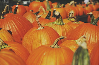 Close-up of bright orange pumpkins in a market display