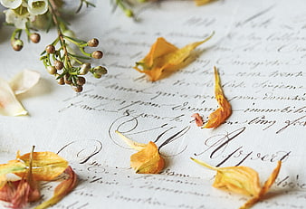 Vintage handwritten letter with dried flowers and petals
