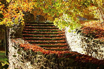 Mossy Stone Staircase In Autumn Park With Falling Leaves