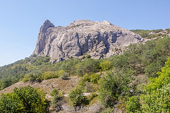Rugged limestone mountain peak with green forest and blue sky