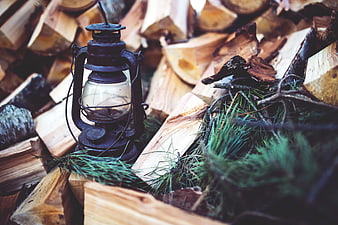 Vintage Kerosene Lantern on Firewood with Pine Branches