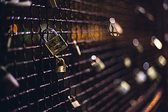 Close-up of padlocks on a metal fence at night