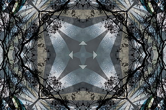 Abstract kaleidoscope pattern with winter tree branches