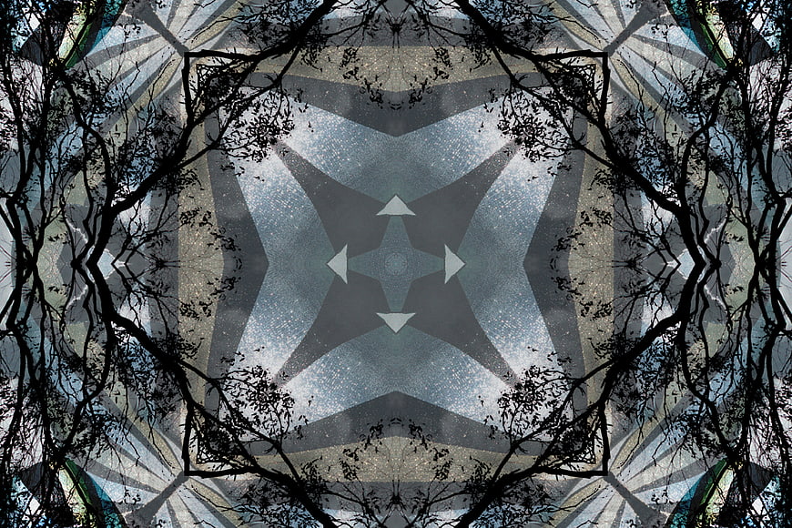 Abstract kaleidoscope pattern with winter tree branches