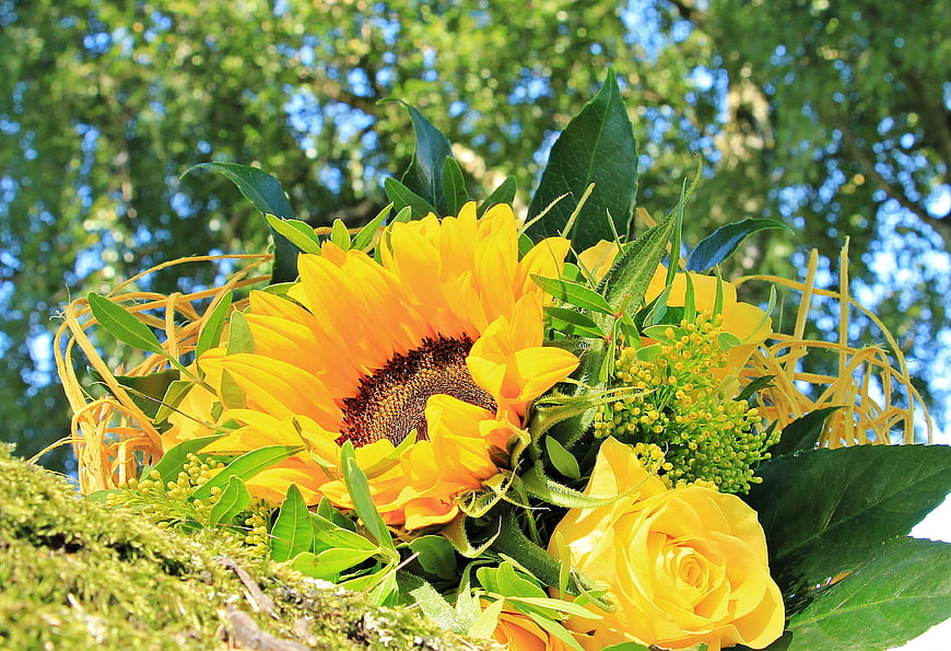 Vibrant Sunflower and Yellow Rose Bouquet in Mossy Nest