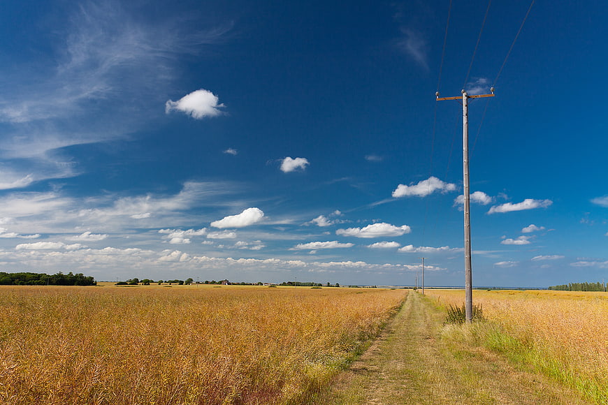 Golden Wheat Field With Dirt Path And Utility Pole Under Blue Sky
